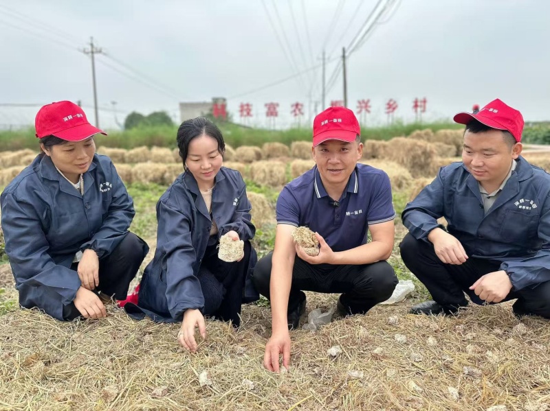 图片3_副本.jpg 图片3_副本.jpg